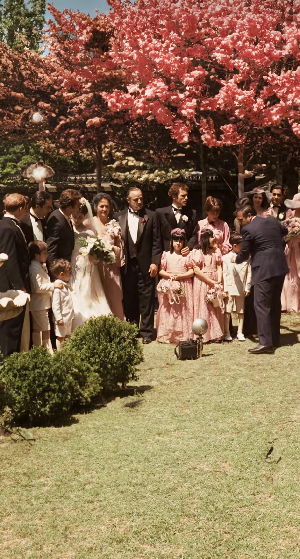 The Godfather "Constanzia's Wedding"