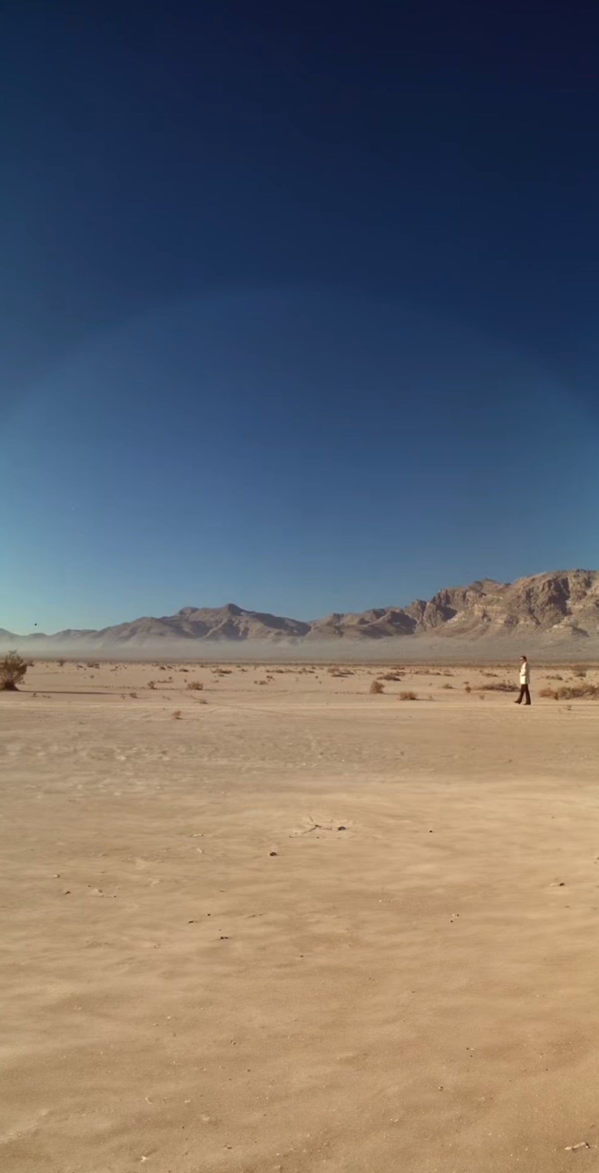 Casino "Desert"